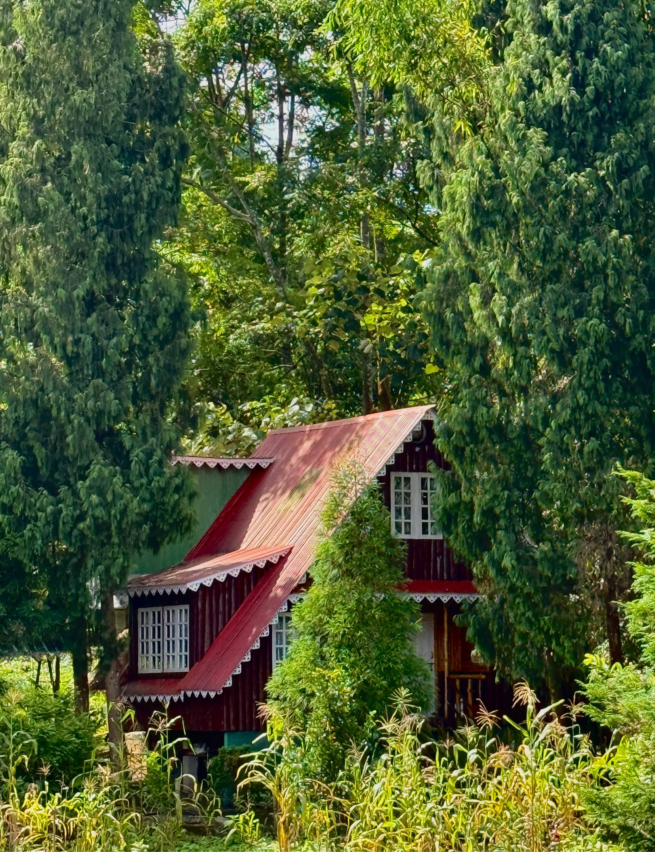 Duplex Wooden Cottage Photo 1