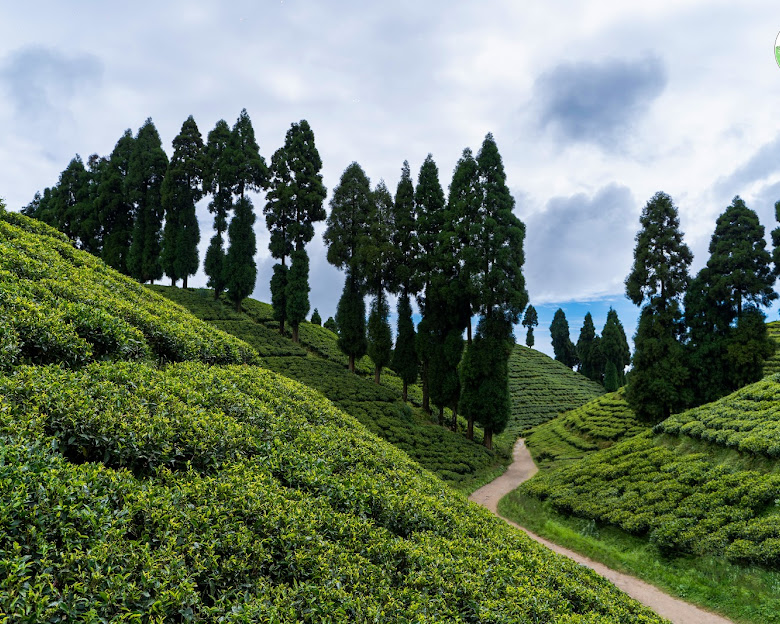 Golpahar View Point