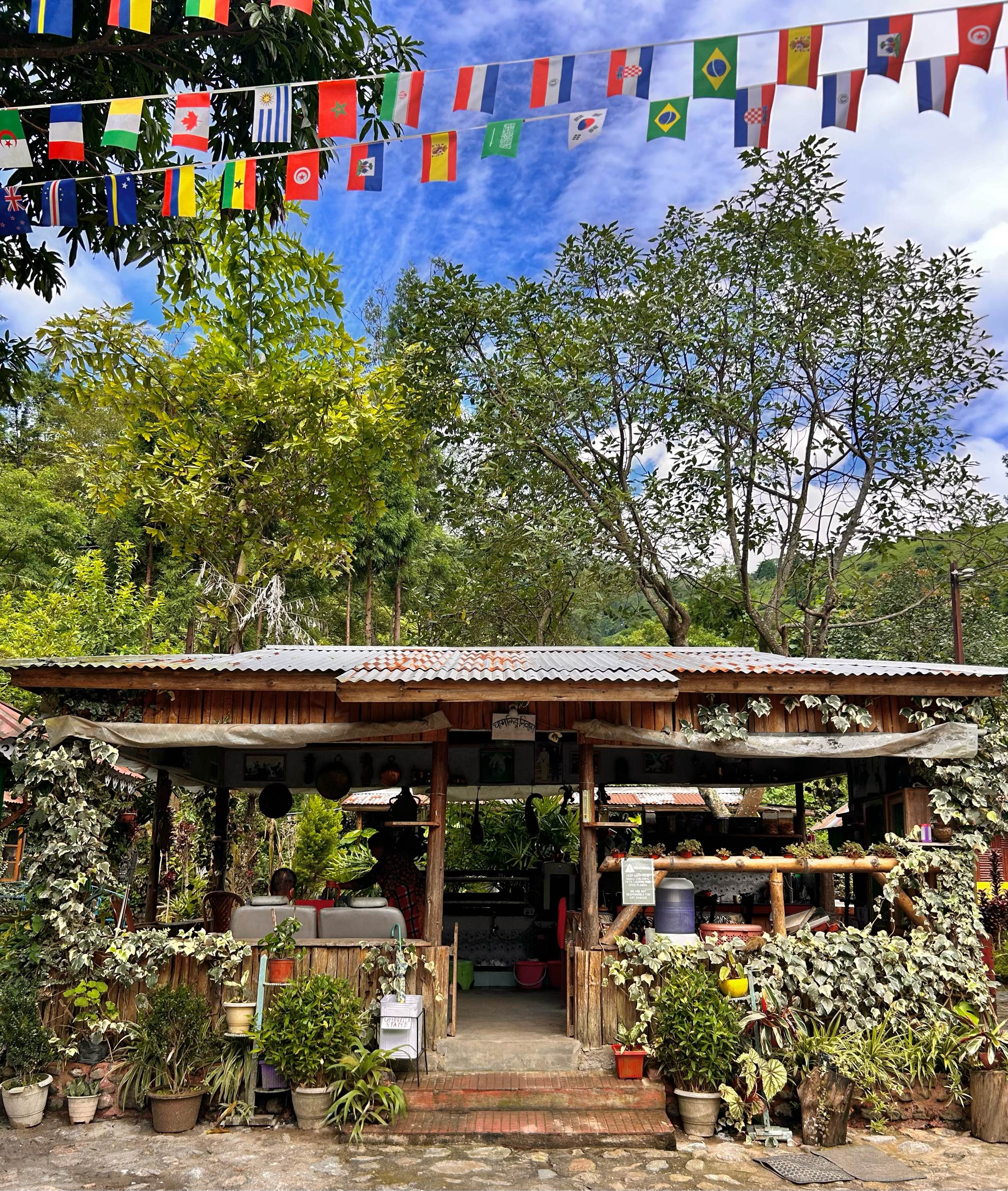 Tea Shop