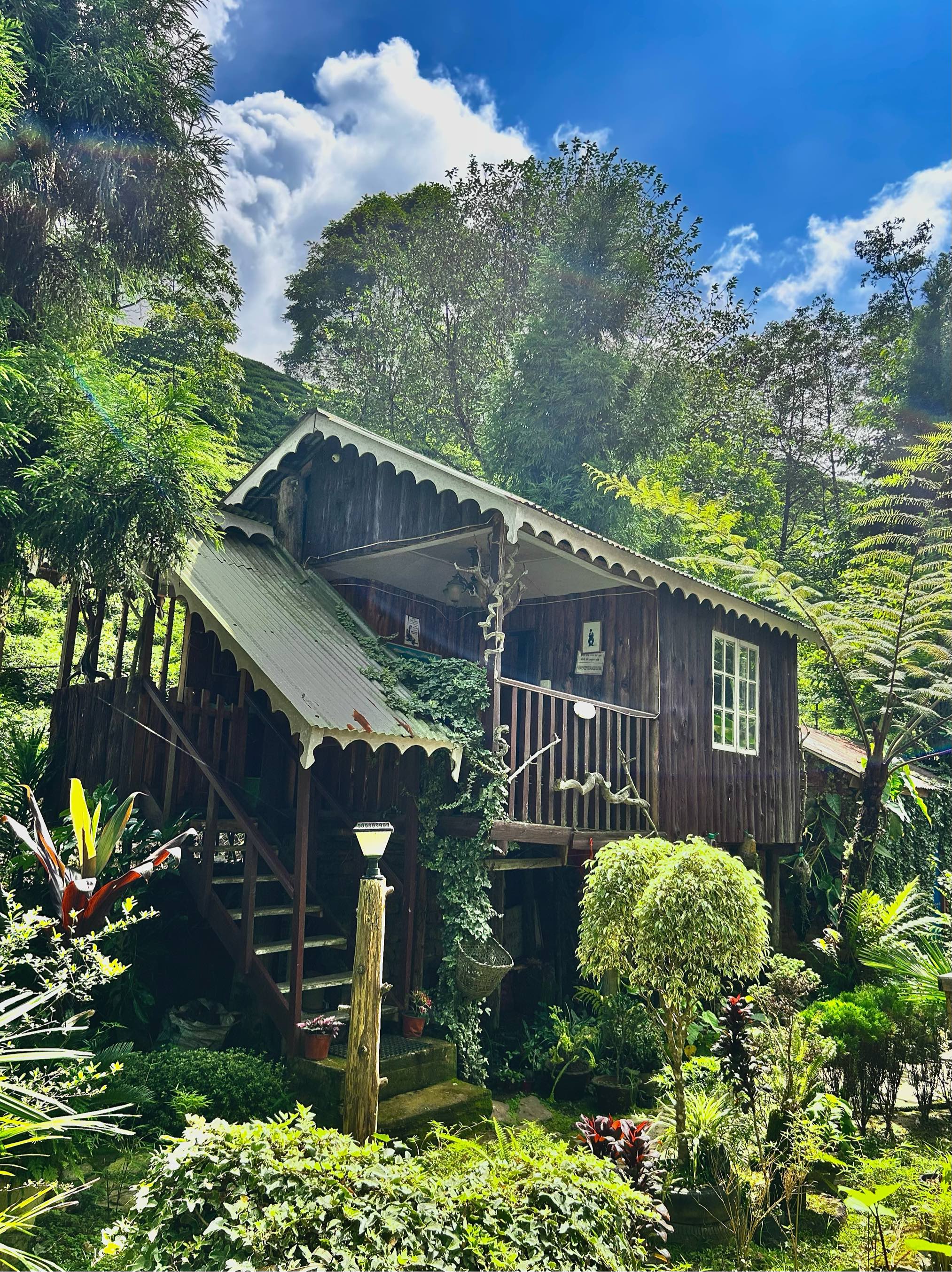 Tree House Photo 1